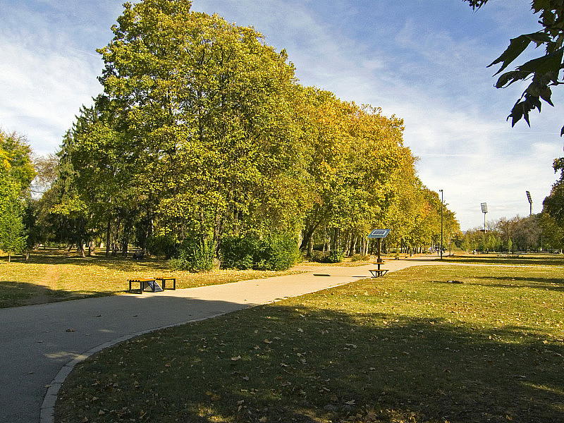 十月的秋景，树上和公园里的人行道上金色的叶子(图31)