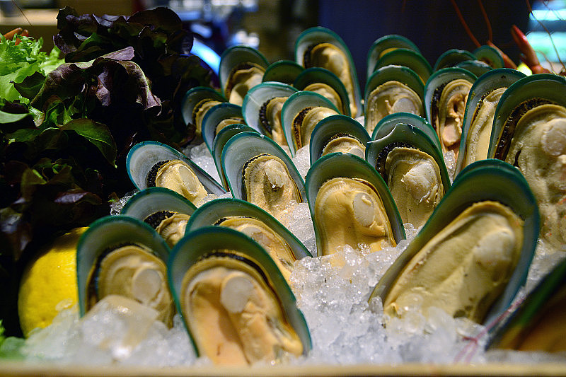 新西兰海鲜自助餐绿色贻贝