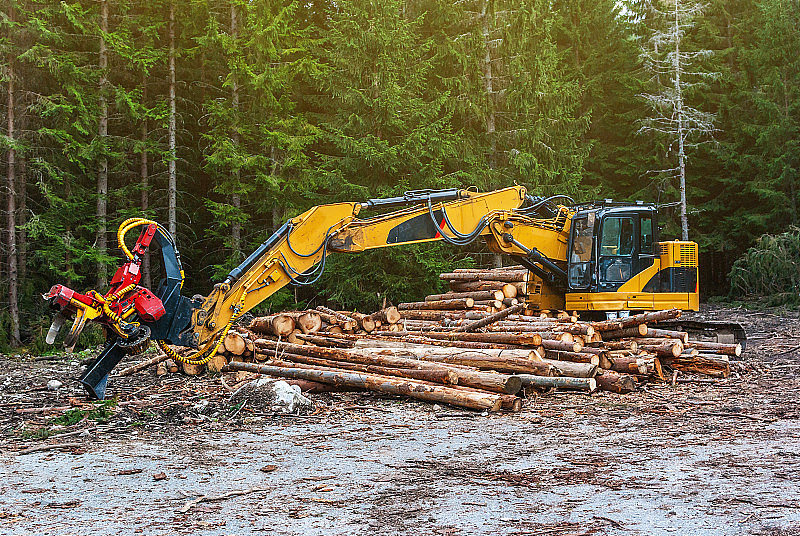 木工机、拖拉机、森林收割机。初级木材加工，修剪树枝。森林砍伐。