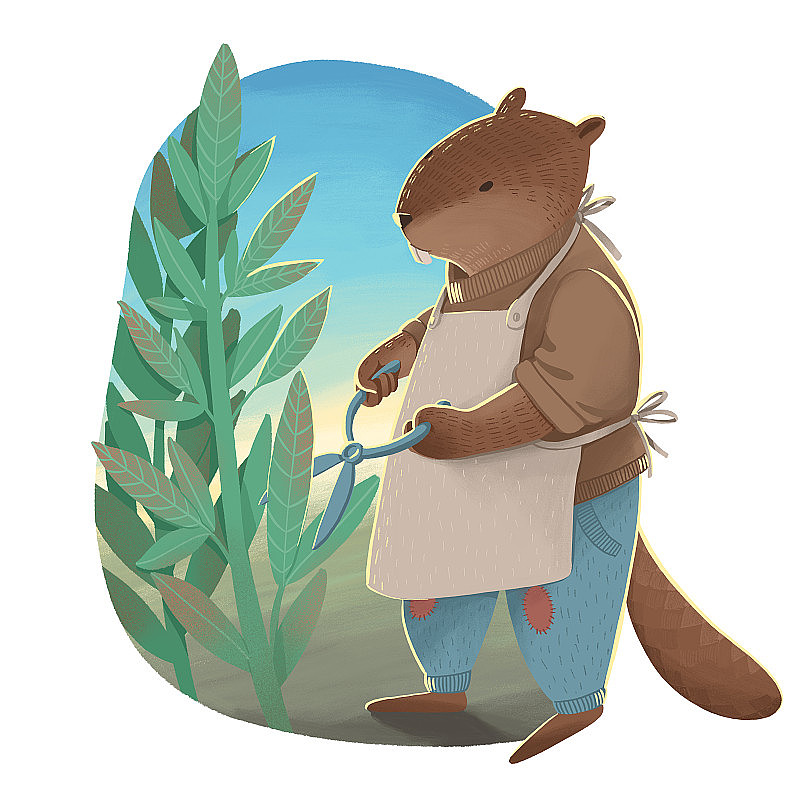 插图的海狸像人在牛仔裤，毛衣和围裙拿着剪刀修剪树叶。
