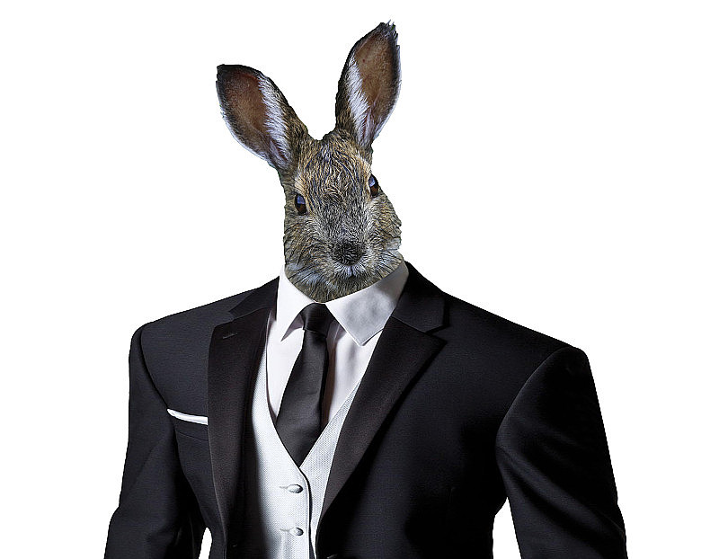 滑稽的复活节兔子穿着商务套装，孤立在一个白色的背景，复活节庆祝的概念