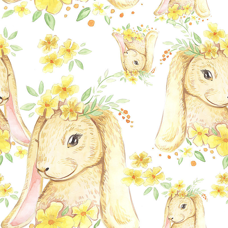 水彩图案兔子兔子与一片黄色的花在白色的背景
