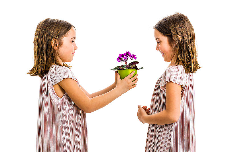 同卵双胞胎女孩给她姐姐一个紫罗兰花盆。