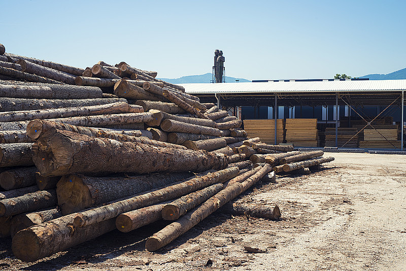 工业锯木厂为木材加工工厂。