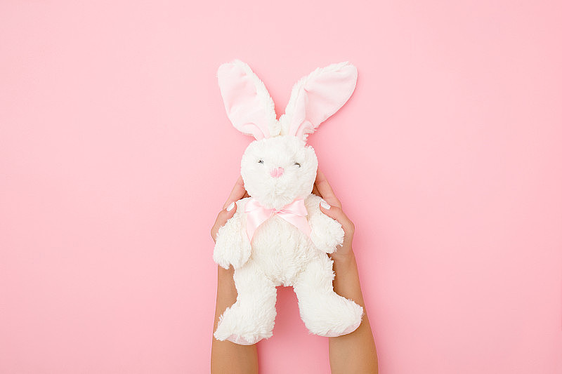 毛绒绒的白色小兔子，长耳朵在女孩的手上，粉粉背景。孩子们最好的朋友。视角拍摄。前视图。