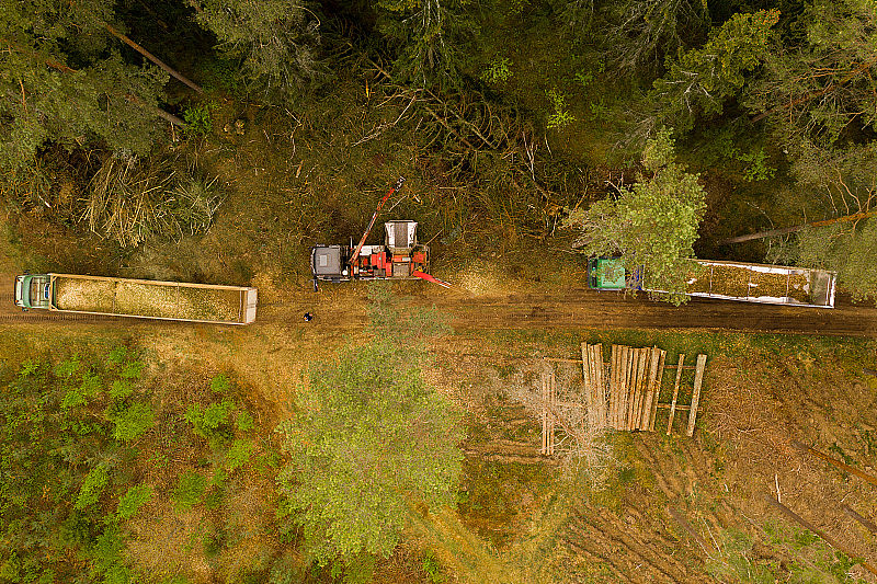 无人机自上而下查看小型林业项目