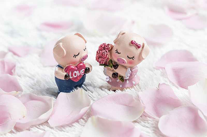 两只小猪在玫瑰花瓣上