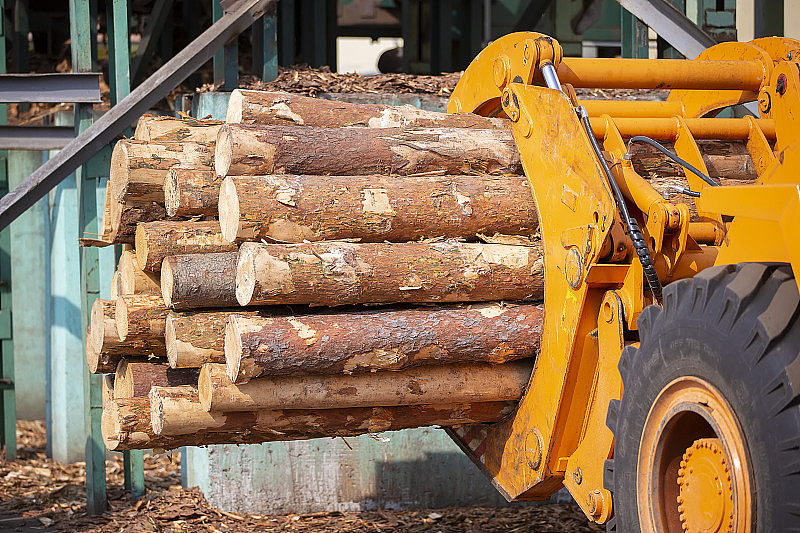 木材加工行业。加载器和日志。工业木材加工