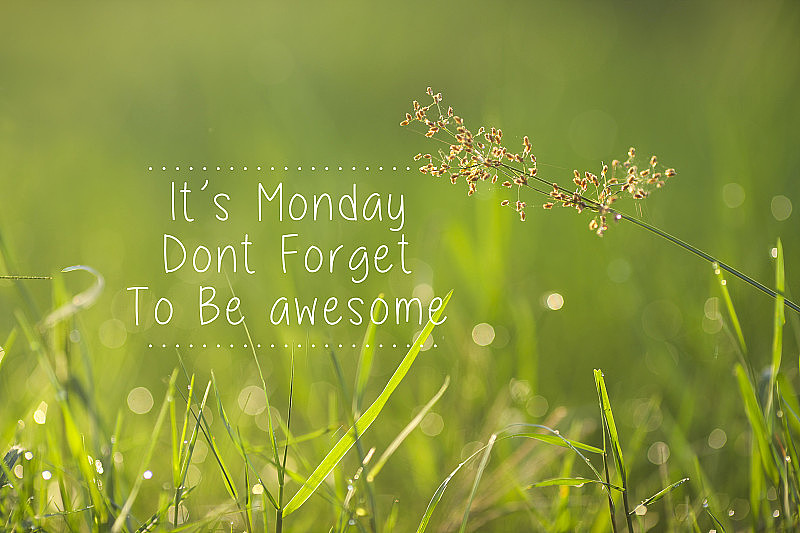 周一鼓舞人心的问候——周一，别忘了表现得很棒。