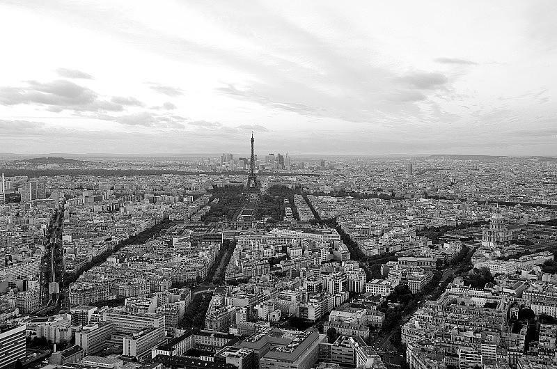 巴黎。埃菲尔铁塔和全景。白色和黑色的。