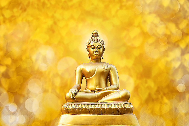 美丽的金佛雕像上的金黄米糠叶佛叶(薄叶)背景。