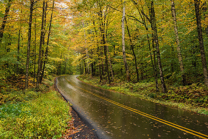 空旷的山路穿过一个秋雨的日子里的森林