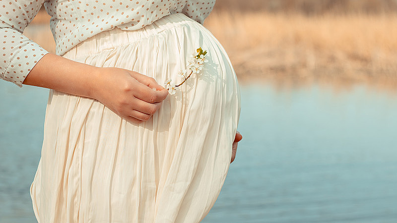 一个穿着白裙子的孕妇站在河边。他双手抱住自己的肚子，捧着一棵春树的开花树枝。复古调色，专注于孕妇腹部。怀孕计划