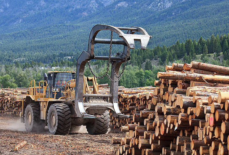 伐木工业中木材加工厂的重型机械