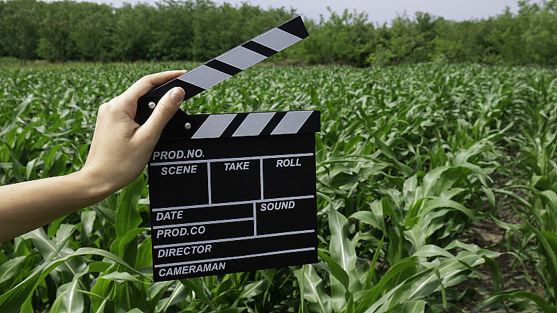 在玉米地里，一个女人手拿着电影拍板。