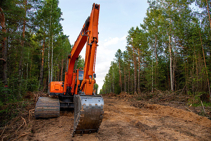挖掘机清理森林新开发。橙色挖土机改良林业工作