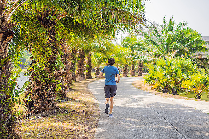 跑步运动员在热带公园跑步。男人健身日出慢跑健身养生理念