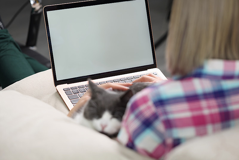 女人坐在沙发上，带着笔记本电脑和猫