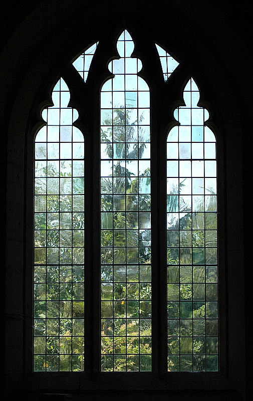 扭曲树的教堂窗户