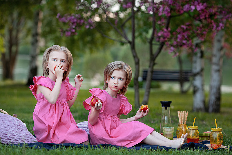 美丽的双胞胎女孩吃桃子，喝果汁，坐在草地上，在盛开的粉红色树的背景下野餐。孩子们的暑假