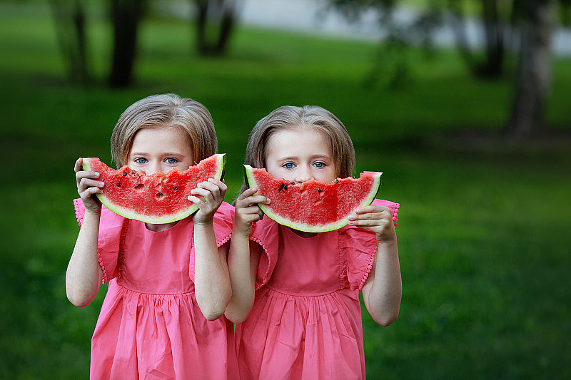 一对双胞胎姐妹手里拿着西瓜，背景是草地。一模一样的小女孩看着镜头，穿着粉红色的裙子。孩子暑假