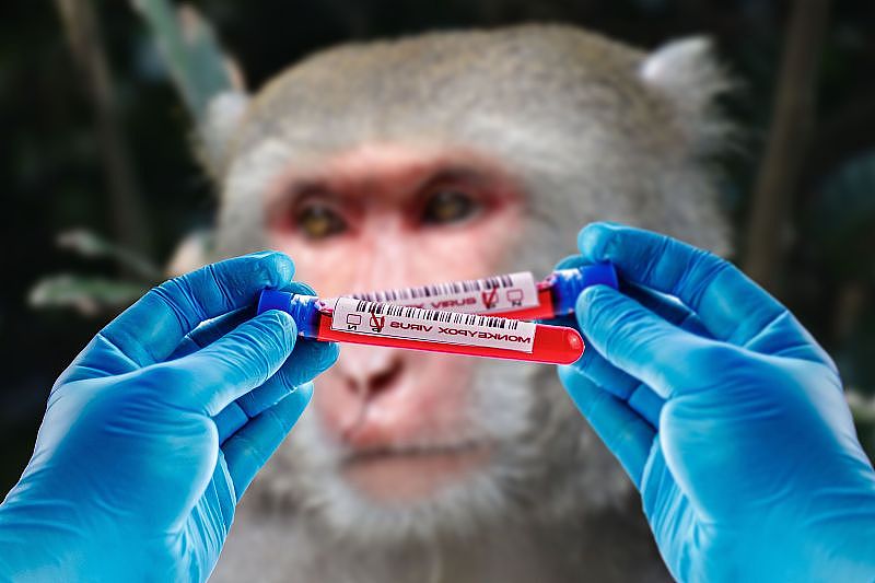 以猴子为背景，装有猴痘病毒血液测试的烧瓶