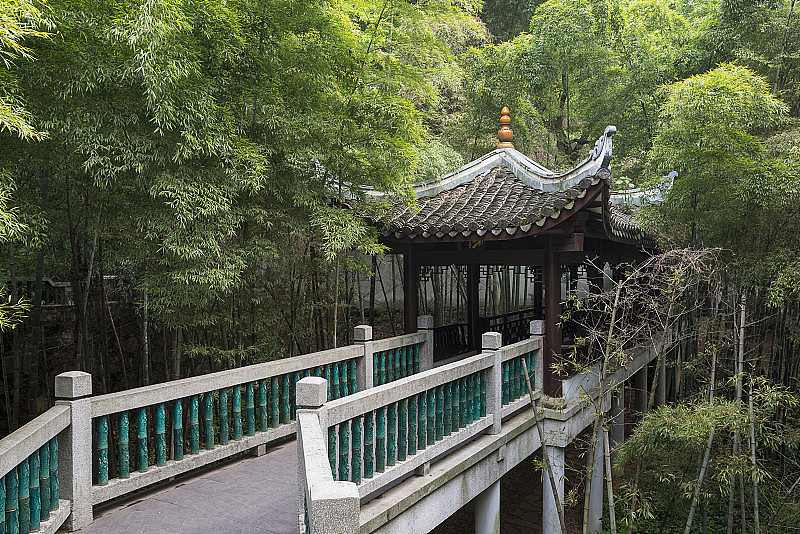 北京森林里古老的中国木桥