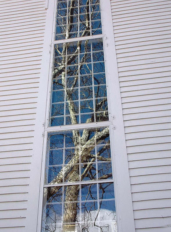 教堂窗户里的树枝和天空