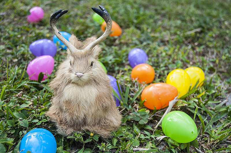 在草坪上，带着彩色复活节彩蛋篮子的小兔子