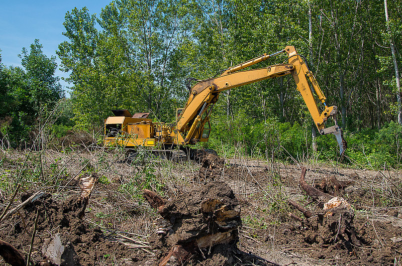林业。用挖掘机清除树桩。