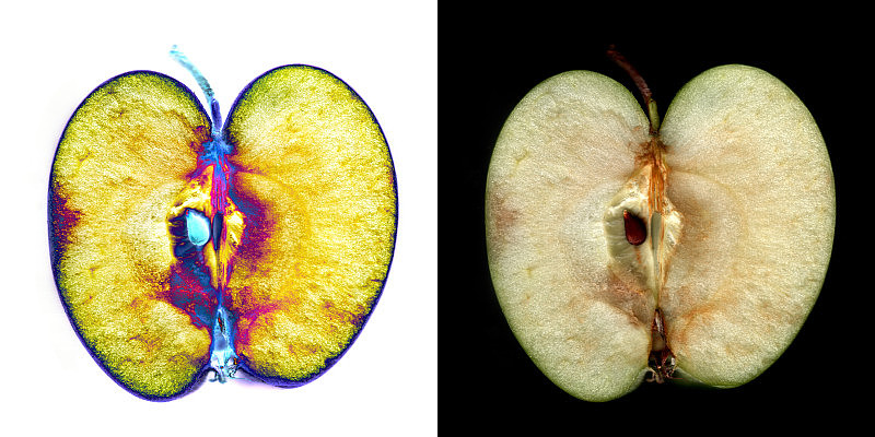 苹果切扫描图像反演成像植物科学