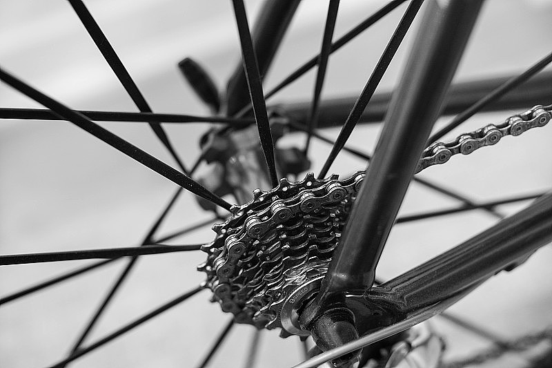 自行车齿轮和轮辐