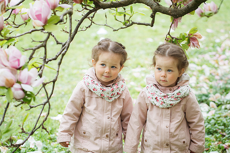 木兰花园的双胞胎女孩