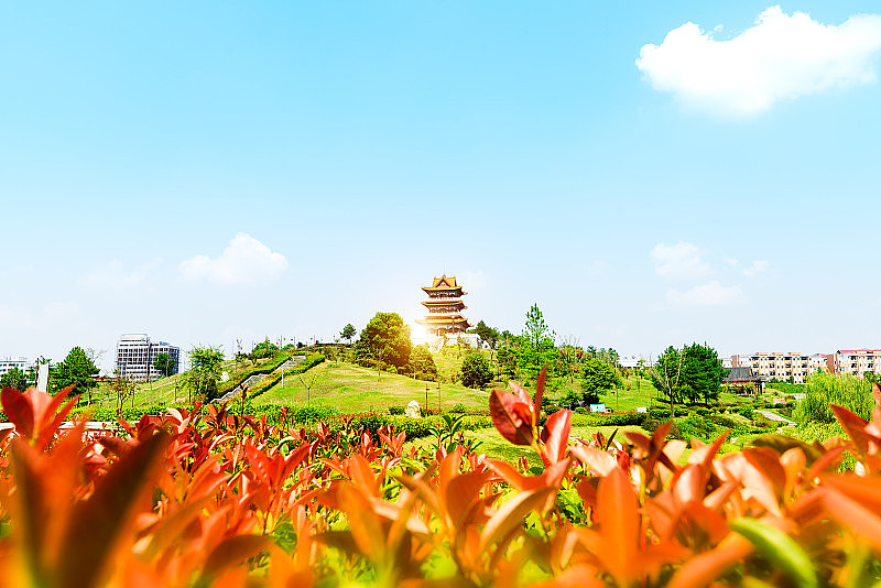 湖中亭和荷塘。位于承德避暑山庄。它是位于中国河北承德市的一座大型皇家宫殿和园林建筑群。