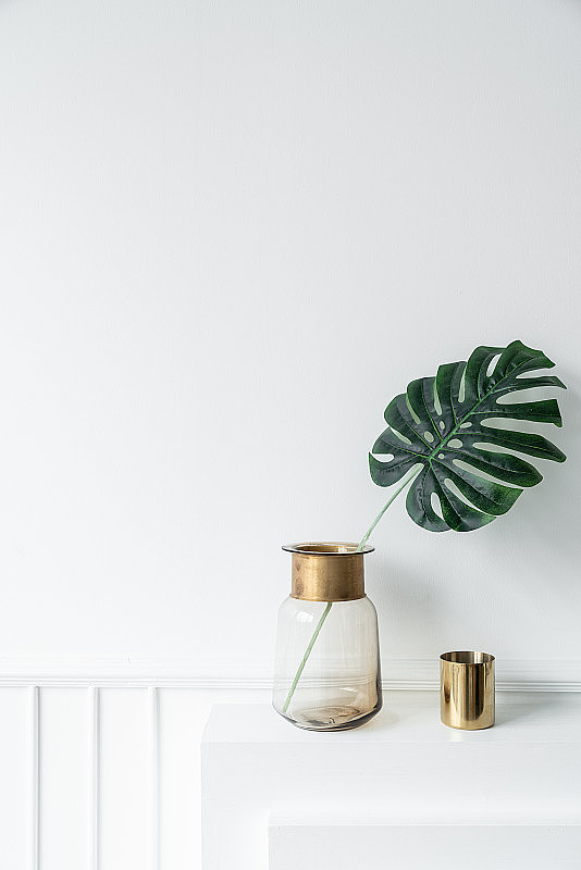 人工植物玻璃花瓶，金色不锈钢镶边，金色镜面花瓶设置在空壁炉上，极简现代风格/舒适的室内概念/广告空间