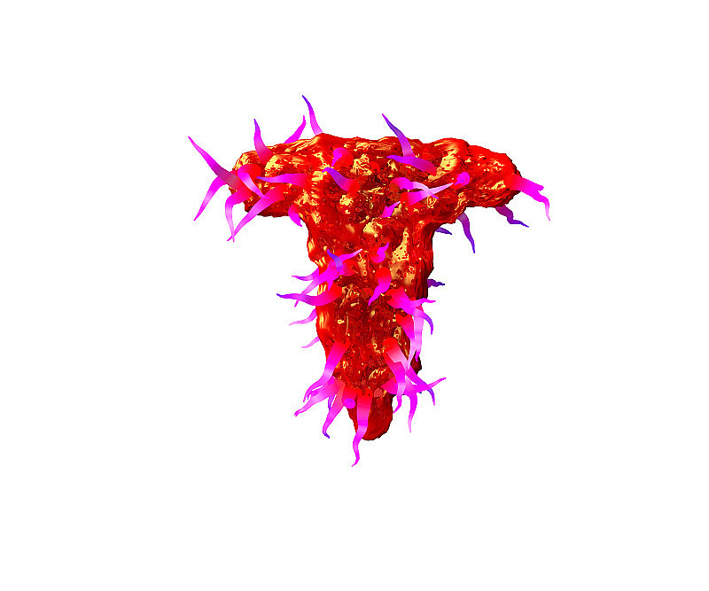 字母T可怕的宇宙字体-红色的果冻与紫色的触须孤立在白色的背景，符号的3D插图