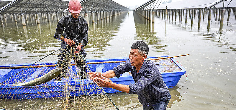 从事打捞捕鱼的亚洲渔民
