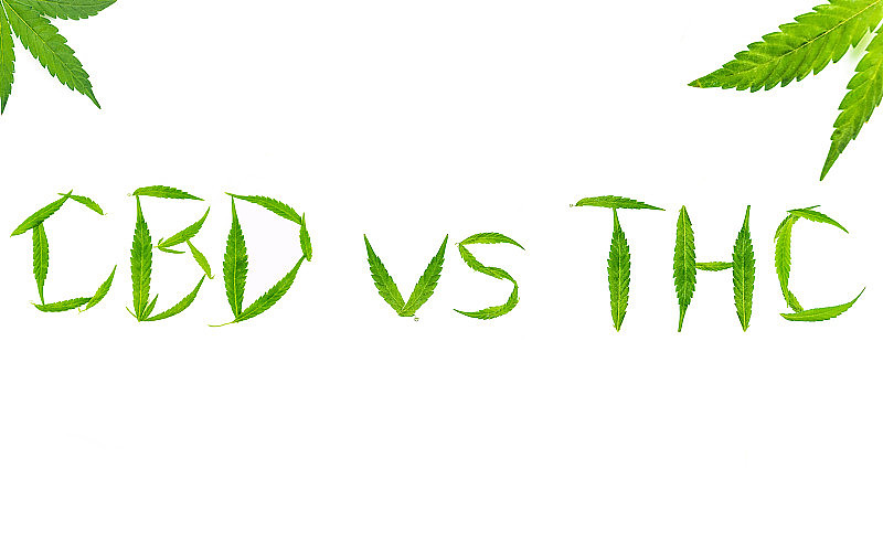叶子上白色形成CBD vs THC字母，医用大麻