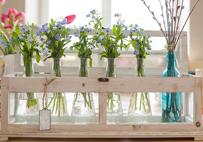 漂亮的蓝色和粉色花束插在玻璃花瓶里。春天的花朵，为家庭内部。一束漂亮的勿忘我花，还有放在窗户旁边玻璃花瓶里的郁金香。装饰了春天。