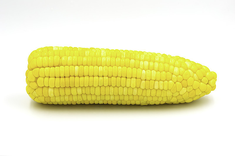 单穗有机甜玉米在白色孤立背景和拷贝空间。成熟的玉米口感香甜可口，可作为烹调食品和动物饲料或玉米。蔬菜和植物概念。