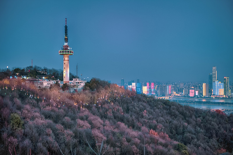 岳麓山电视塔图片