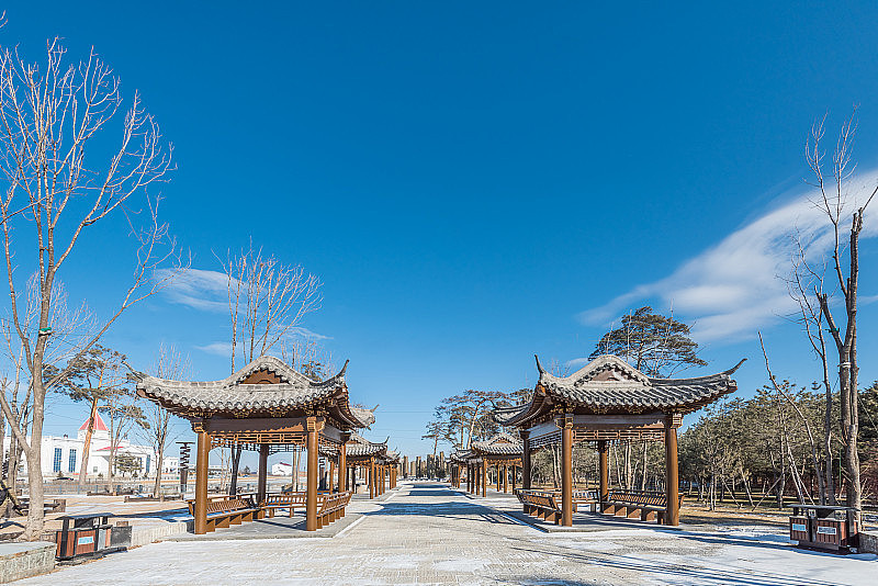 树木，道路和建筑物，延边，中国吉林省，冬季