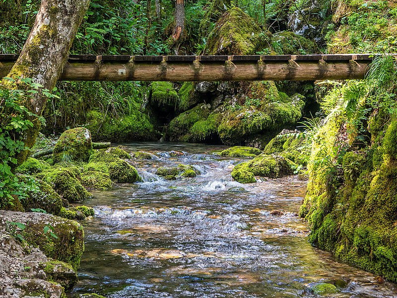 木制人行桥横跨山溪流水