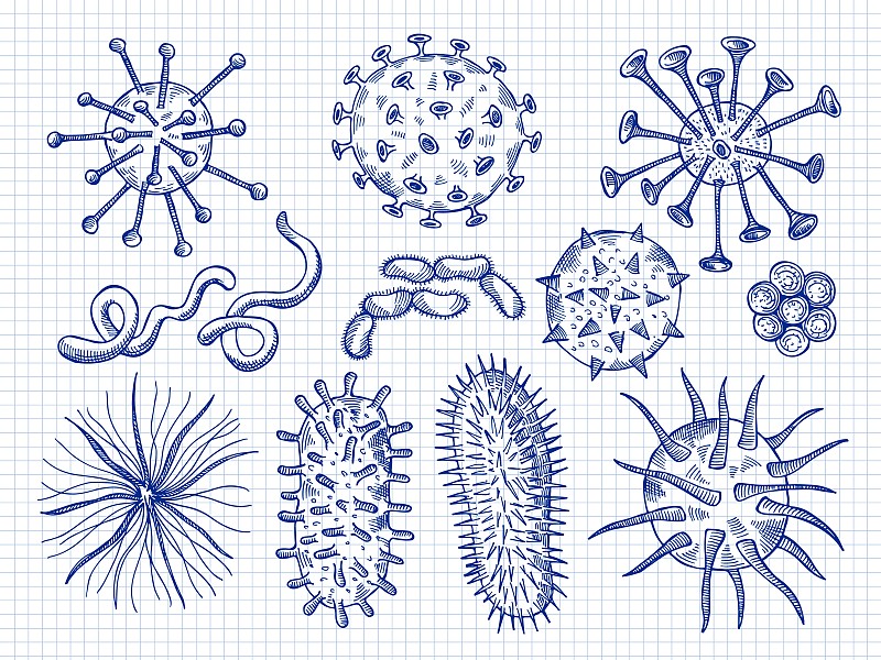 素描的病毒 covid细菌微生物细胞危险生物疾病迹象最近的病媒手绘插图