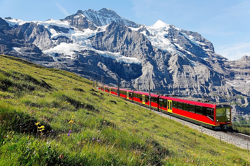 一列旅游火车从少女峰铁路(欧洲之巅)行驶到Kleine Scheidegg，在瑞士伯恩斯奥伯兰，蔚蓝晴朗的天空下，野花在绿色的草地山坡上盛开