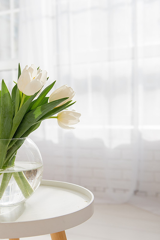 圆木桌上放着一个玻璃花瓶，花瓶上插着一束白色郁金香。春天的时间。本空间