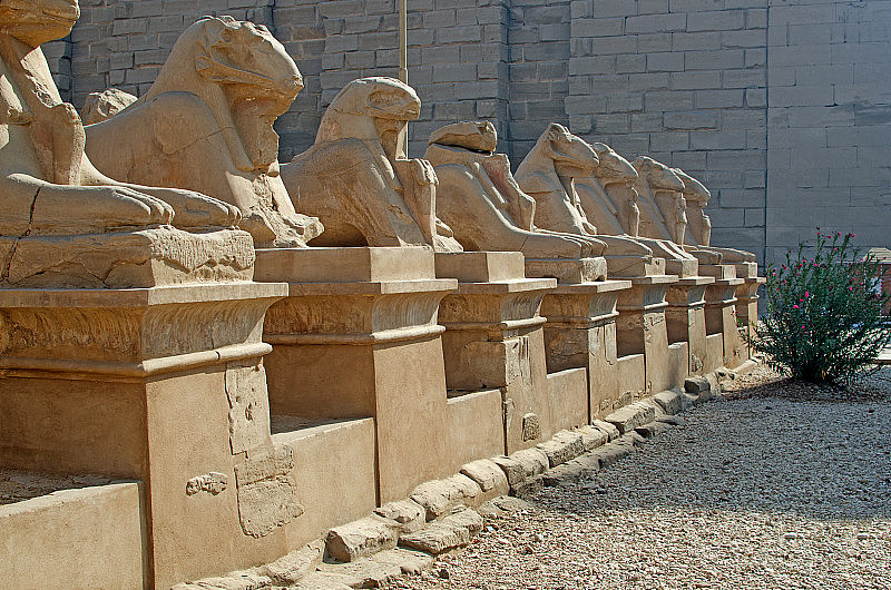 阿蒙-雷神庙中的狮身人面像大道(埃及，卢克索，卡纳克)