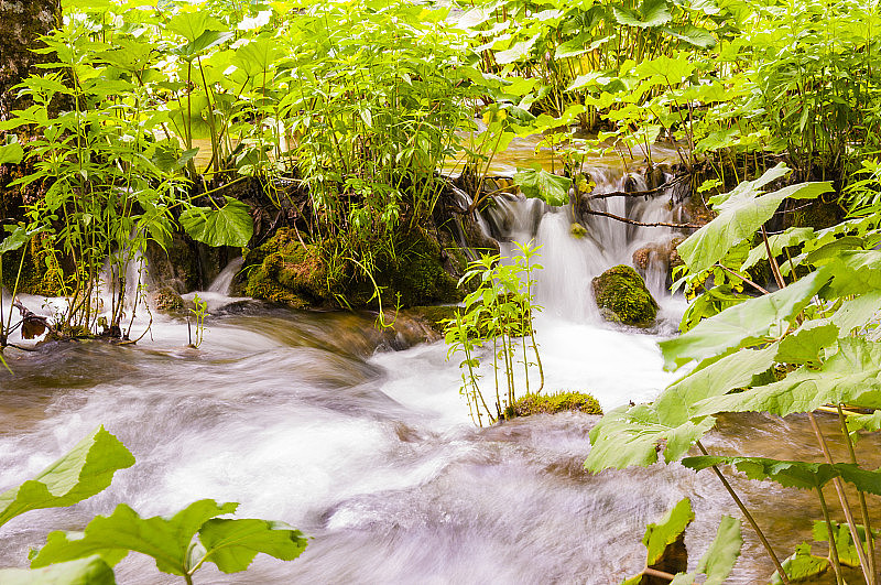 流水流过Plitvice的绿色植物