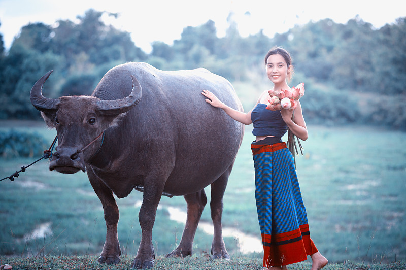 美女与公牛牲交大全图片