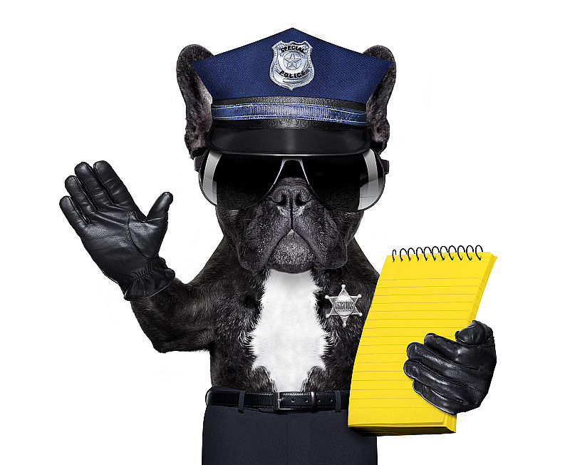 警察狗被罚单罚款